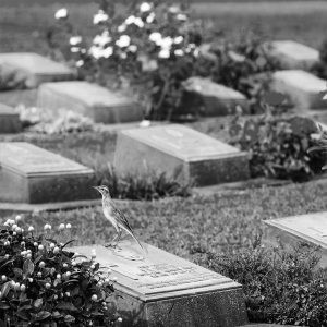 Memorials cornwall - Headstones Cornwall - Gravestones Cornwall